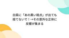 白菜に「あの黒い斑点」が出ても捨てないで!→その意外な正体に反響が集まる