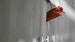 WHOが中国に調査団派遣 「無症状の感染者」に強まる懸念