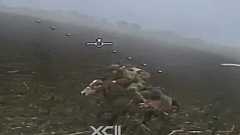 ロシア軍、馬に乗ってウクライナ軍の陣地に突撃し始める | Forbes JAPAN 公式サイト(フォーブス ジャパン)