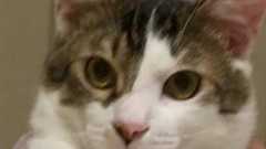 優樹 on Twitter: "日テレ・バンキシャの取材で、萩生田光一政調会長が過去に出席したイベントの主催は関連団体や友好団体ではなく「統一教会」本体だったことが判明。しかもパンフレットを読めば分かるレベル。これはお付き合い程度どころかズブズブなんじゃないの?… https://t.co/ZofNBSQN8L"