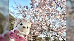 ぬいぐるみを持ち歩くことが意外にも安全面で良い効果をもたらす可能性もあるかもしれない「これは本当にそう」