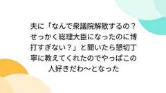 夫に「なんで衆議院解散するの?せっかく総理大臣になったのに博打すぎない?」と聞いたら懇切丁寧に教えてくれたのでやっぱこの人好きだわ~となった