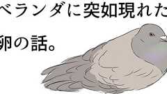 鳩がベランダに卵を生んだ! 放置は公害で駆除は罰金、業者を呼んだ話に反響