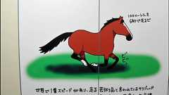 競馬の基本的な部分からちょっとマニアックな知識までを教えてくれる、東京競馬場地下道イラストいろいろ