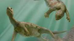 古代生物想像図鑑 写真特集:時事ドットコム