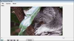 ムービーを指定間隔で画像キャプチャできるフリーソフト「Capture Frame」