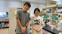 Y染色体がいつかなくなるって本当?研究者に聞きました