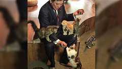 「石破にやめて欲しくないので、石破の好きなところをみんなご自由に挙げてください!わたしはぬるぬるしたしゃべり方!」自民党支持しない人からも意外と挙がる