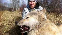 カナダで村を恐怖に陥れた化け物サイズのオオカミが捕獲される : 痛いニュース(ノ∀`)