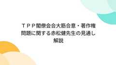 TPP閣僚会合大筋合意・著作権問題に関する赤松健先生の見通し解説