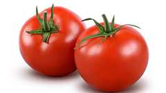 トマトは茎を切り落とされると「悲鳴」を上げる 最新研究結果 音あり - amass