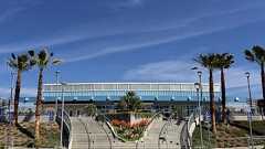 「あっ、グリーニーを忘れた!」 練習前に叫んだ投手