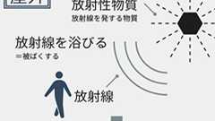 「放射能」は誰にもうつらない 「放射線」「放射性物質」について正しく理解するために | ねとらぼ