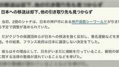 「イルカショーは可哀想」と水族館を廃園に追い込み、日本への輸送計画も捕鯨を理由に中止させた結果…汚染された劣悪環境に置き去りにされたシャチやイルカがいる話