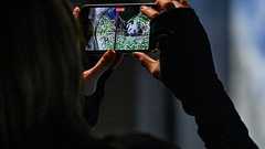 上野動物園のパンダ2頭、1月に中国返還へ 期限を前倒し