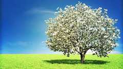 ネットで1,000円を確実に3,000円にする方法