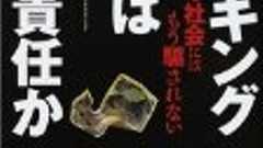 国家財政建て直し費用は国の自己負担に=笹川氏表明 - bogusnews