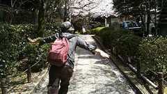 『秘薬アヤワスカ2』