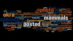 ネーミングが他の言語ではまずい意味を持っている言葉・名前かどうかを調査できる「WordSafety」