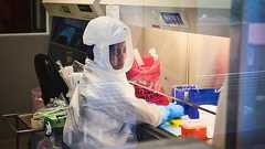 オミクロン変異株の流行、パンデミックの終わりを示唆-南ア研究