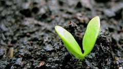 「頑張って」の代わりに使える、7つの励ましの言葉