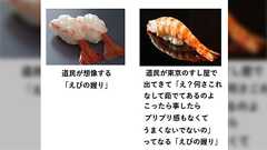 北海道と東京の寿司の決定的な違いは「えび」である話…「エビの種類による食べ方の違い」「良い寿司屋の茹でエビはおいしい」など