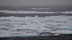 回線の細い北極からブログとSNSを更新し続ける