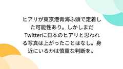 ヒアリが東京港青海ふ頭で定着した可能性あり。しかしまだTwitterに日本のヒアリと思われる写真は上がったことはなし。身近にいるかは慎重な判断を。