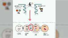 DeepResearchで気になったことを調べ、出てきた資料を、全てNotebookLMへ移行する「第二の脳とAIを融合したワークフローの流れ」が参考になる