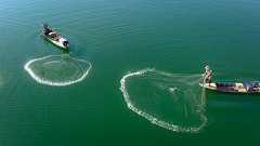 漁業が魚類に「急速な進化」を引き起こしていたことが判明 - ナゾロジー