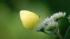 「生命科学本の中で過去最高」…圧倒的な知性が書いた震えるほどの名著【書籍オンライン編集部セレクション】