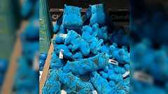 「帰ってきてから、あれをお土産に買ってくればよかった」今回のそれは、ルーヴル美術館で売っていた青いカバだった気がする→古代エジプトのファイアンスがいろんな所で売っていた