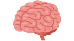 若い頃のいじめ被害→長年にわたって脳構造が変化 2000人以上を調査 男女で異なる変化も