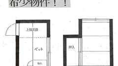 フロンティアスピリットについて(2) - 能町みね子のふつうにっき