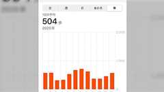 友人に年間の平均歩数5,000歩を下回らないように気を付けようねと言われた。今日から年末まで毎日5万歩歩けば達成できるっぽい「タスケテ…タスケテ…」