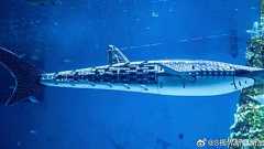 本物だと思ったら…深センの水族館 ジンベエザメはロボットだった! 客激怒で返金要求 - ライブドアニュース