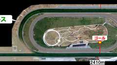 『ドバイのメイダン競馬場の馬場について(芝コース)』