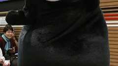 くまモン、五輪聖火リレーはNG 県が参加打診も「人」要件に抵触 | 共同通信