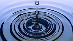 水の波紋が「過去」へ逆戻りする現象を確認 - ナゾロジー