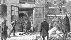 カストルとポルックス (象) - Wikipedia