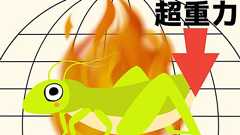 バッタを「3倍の重力環境」で育てたら外骨格がパワーアップ!ただし5倍以上だと… - ナゾロジー