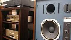 週刊朝日「ハシシタ奴の本性」を読んで | JBL4344とプラスα