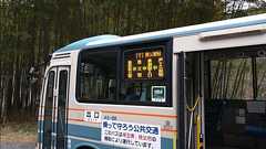 自動車学校で「絶対運転したくない!」と思いながら運転していたので車の免許を取り「やっとこれで運転しなくて済む」と安堵した。