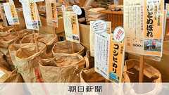 コメ価格下落の「予兆」に戦々恐々「ババ抜き」「逆チキンレースだ」:朝日新聞