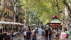 写真やイラストをネットで無断使用されたら、料金を請求しよう