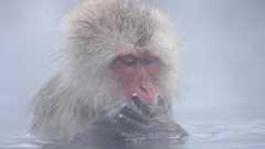 「シャワーしか浴びない人」が損している理由 | 健康 | 東洋経済オンライン | 経済ニュースの新基準