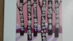 酒井若菜『不特定多数に送らないブログ』