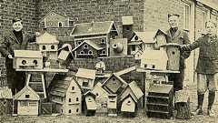 絶対に笑ってはいけない承認欲求。素直にさらすメリットは大きいですよ | らふらく^^ ~ブログで飯を食う~