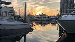 日本の物価、本当は安い : 外から見る日本、見られる日本人