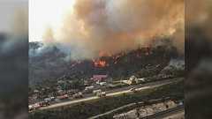 家族に勘当、恋人に振られるも「クソ喰らえだわ。コアラを救うんだから!」とセクシーに環境を救う美女モデル。寄付したらヌード写真を送りますで約1億円集める